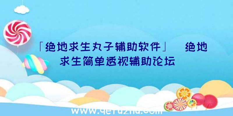 「绝地求生丸子辅助软件」|绝地求生简单透视辅助论坛